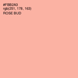 #FBB2A3 - Rose Bud Color Image